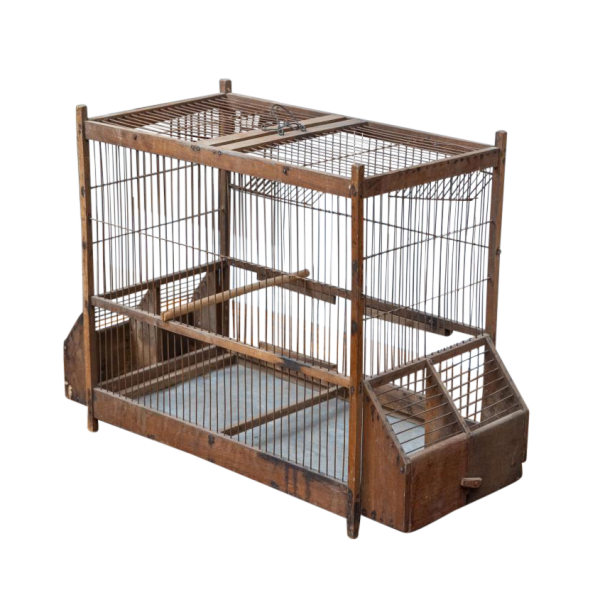 Early 20th century Bird Cage